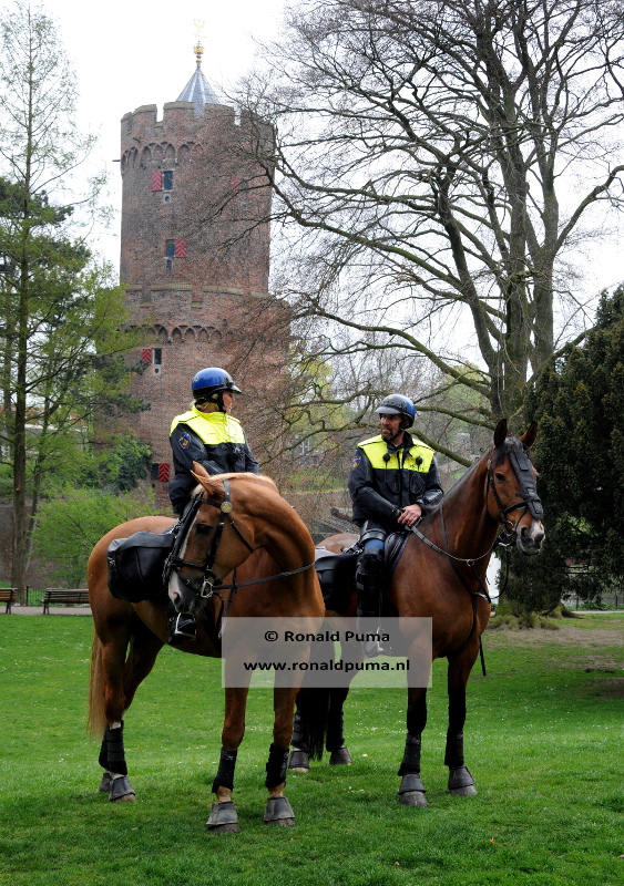 PIC_0014. 800 politie te paard (C) Ronald Puma
