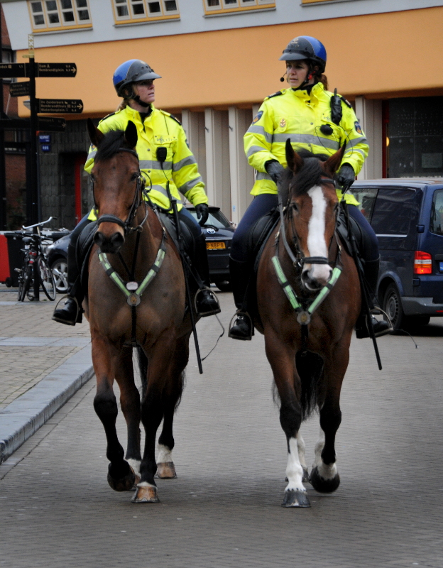 PIC_0050.B.800. politie te paard (C) Ronald Puma