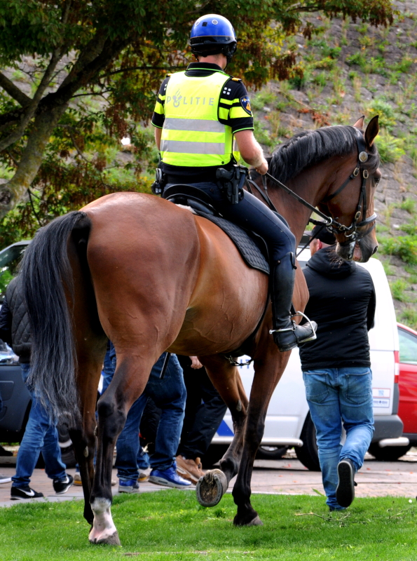 PIC_0123.B.750. (C) Ronald Puma