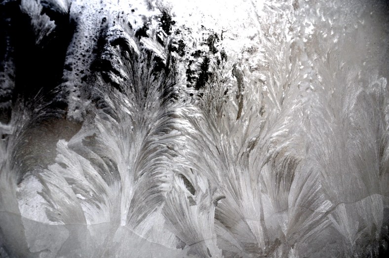 IJsbloemen op het raam