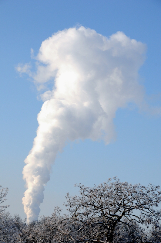 11 (C) ronaldpuma.nl