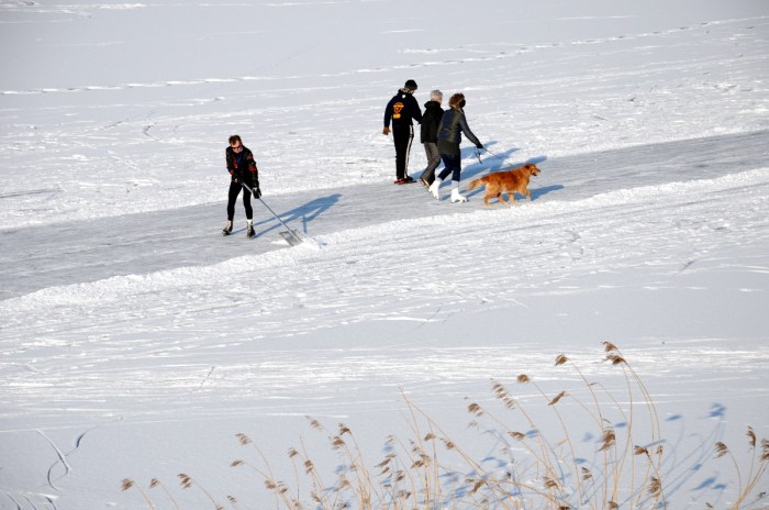 18 (C) ronaldpuma.nl