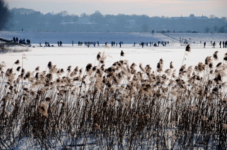 19 (C) ronaldpuma.nl