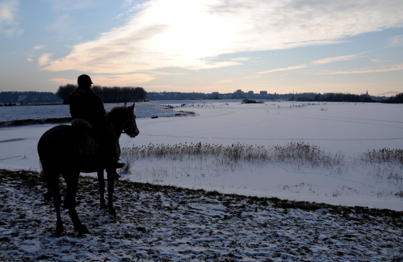 20 (C) ronaldpuma.nl