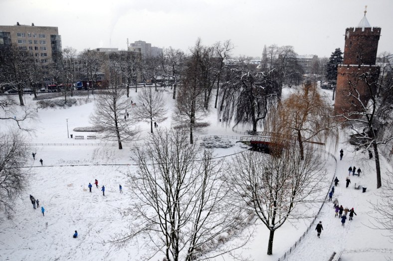 09 (C) ronaldpuma.nl