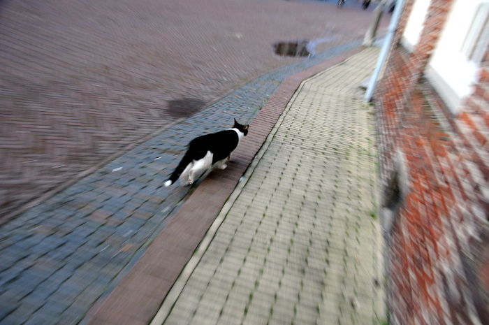 Straatfotografie (C) Ronald Puma 085