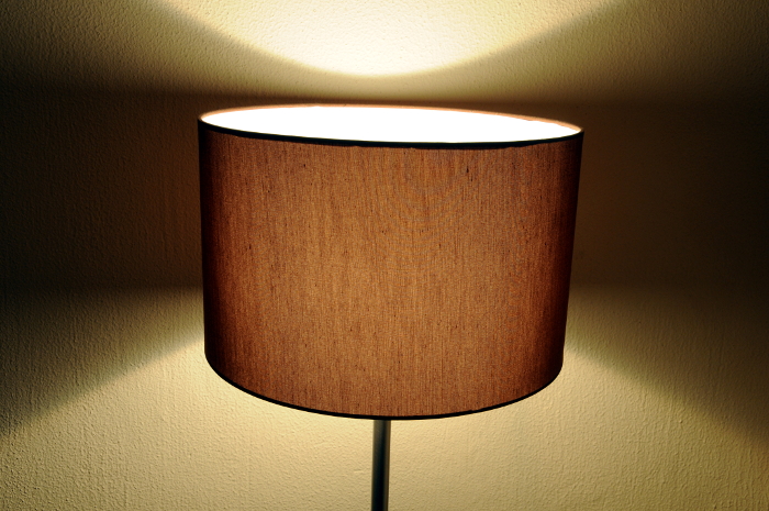 (C) Ronald Puma Lamp 019