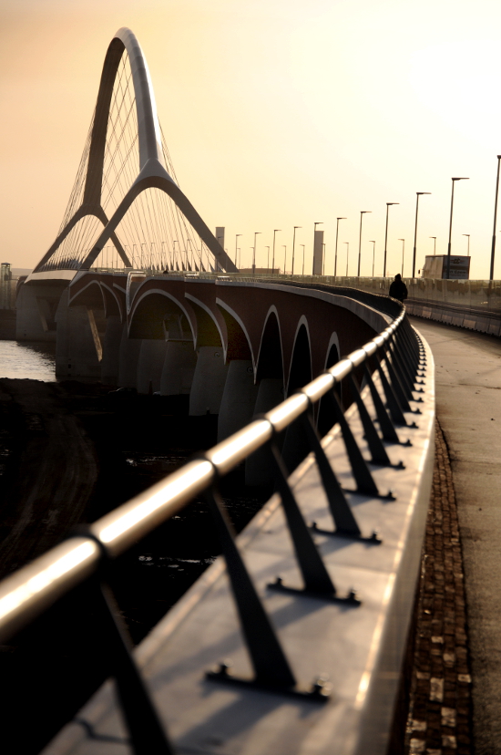 De Oversteek Nijmegen (C) Ronald Puma