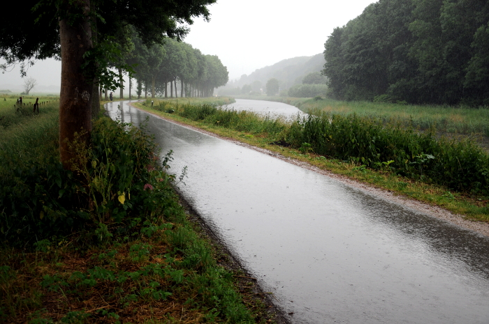 PIC_0001 (C) Ronald Puma