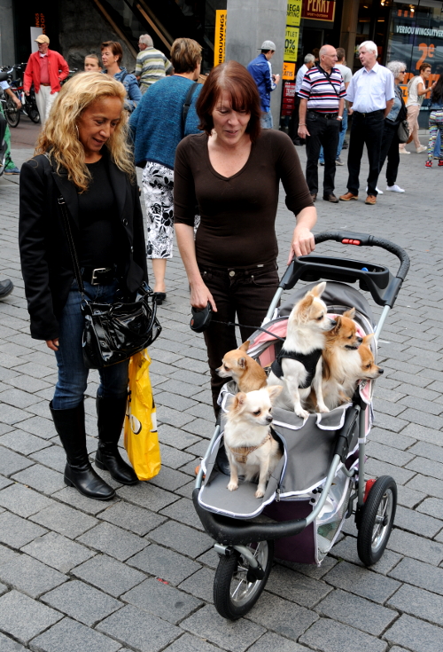 Street Photography (C) Ronald Puma 0147