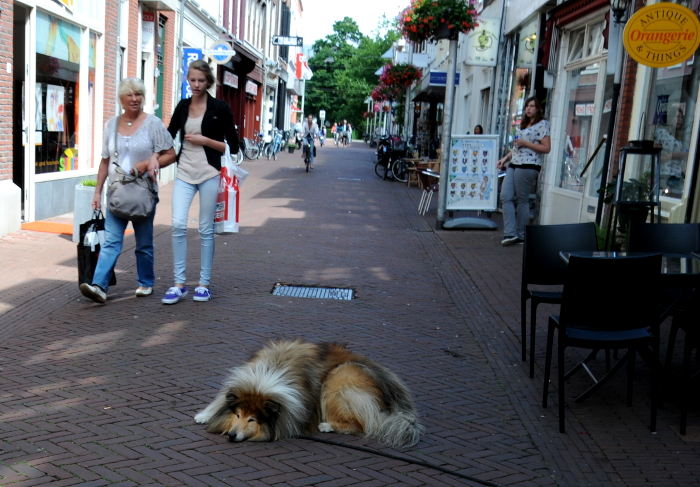 Street Photography (C) Ronald Puma 04