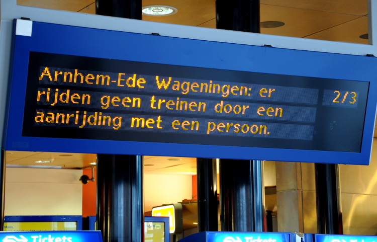 (C) Ronald Puma 02.750