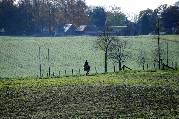 (C) Ronald Puma 033.750