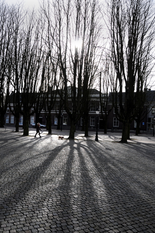 (C) Ronald Puma PIC_0045.500