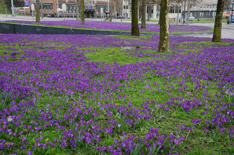 Street Photography (C) Ronald Puma 027.750