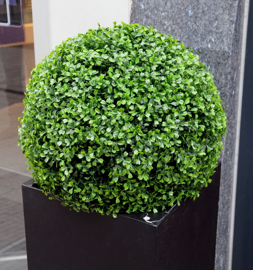 Street Photography (C) Ronald Puma 031.500