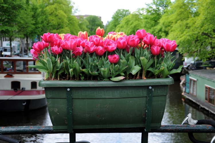 Street Photography (C) Ronald Puma  067.750