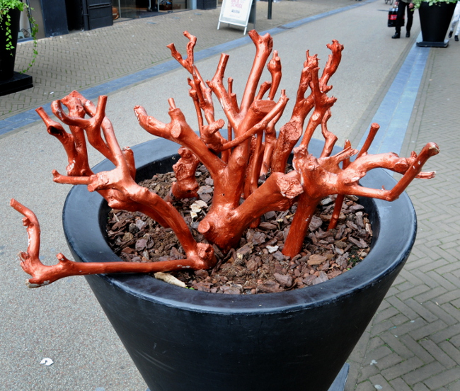 PIC_0206.650 Straatfotografie (C) Ronald Puma