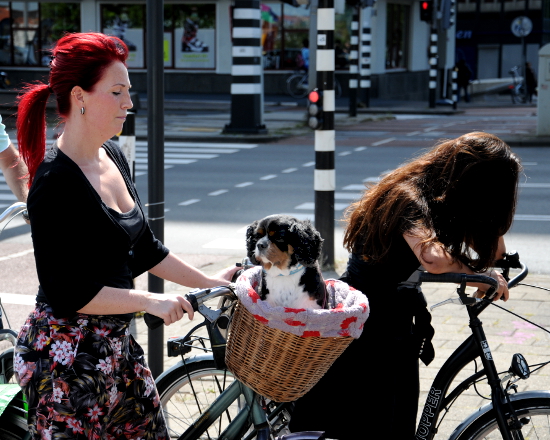 StreetPhoto (C) Ronald Puma 0146.550