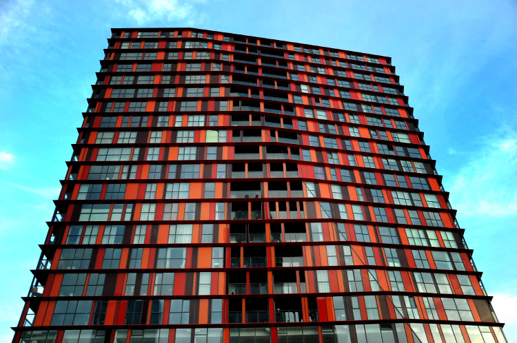 PIC_0374.750  (C) Ronald Puma