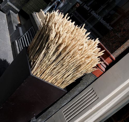 Street Photography (C) Ronald Puma 090.500