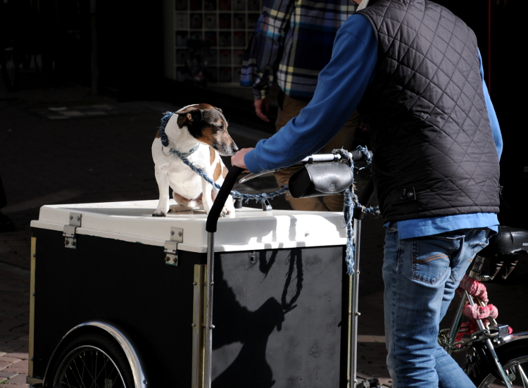 PIC_0033.750 Straatfoto (C) Ronald Puma