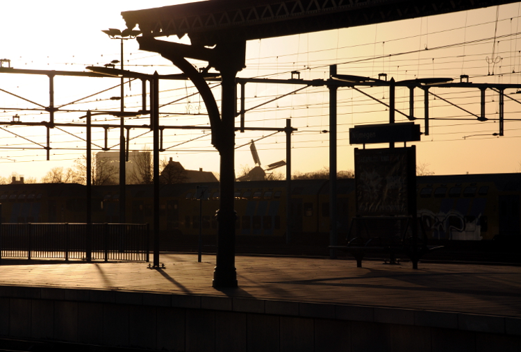 PIC_0002.750. (C) Ronald Puma