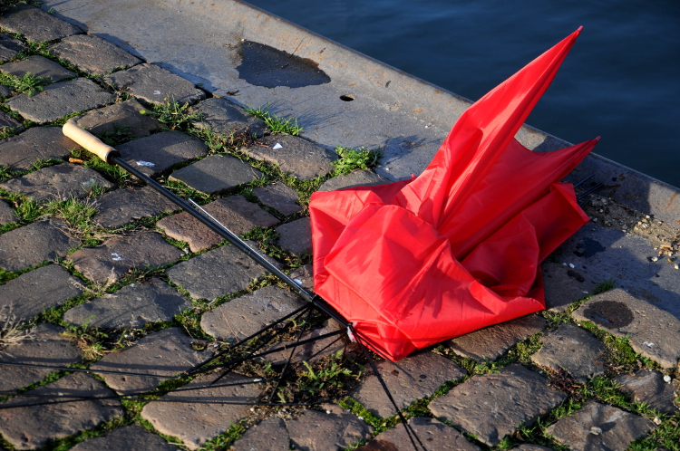 PIC_0018.750 (C) Ronald Puma