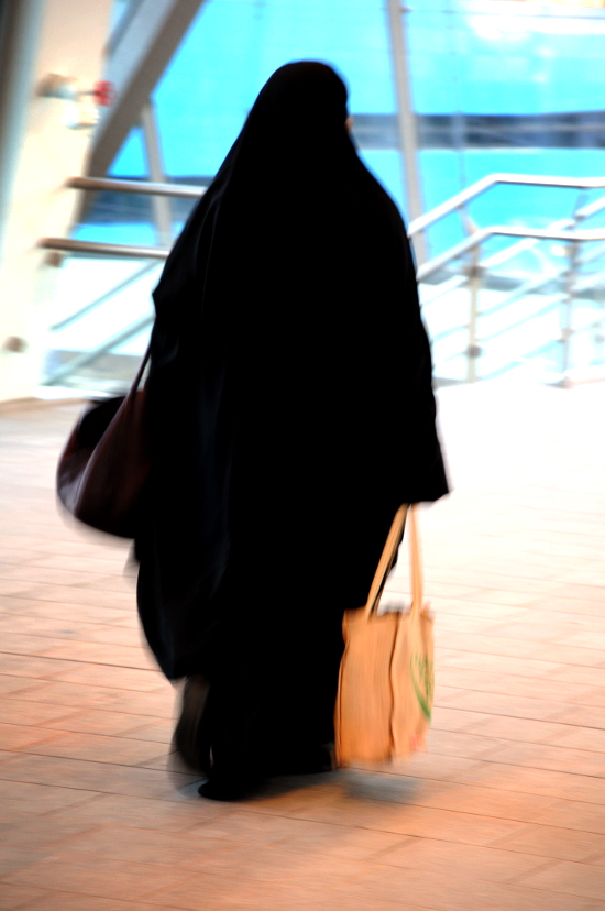 PIC_0058.550 (C) Ronald Puma