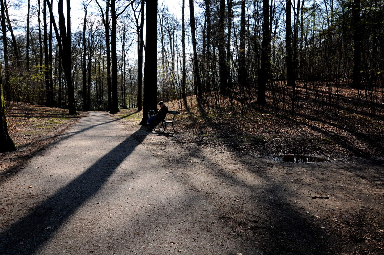 PIC_0062.750 (C) Ronald Puma