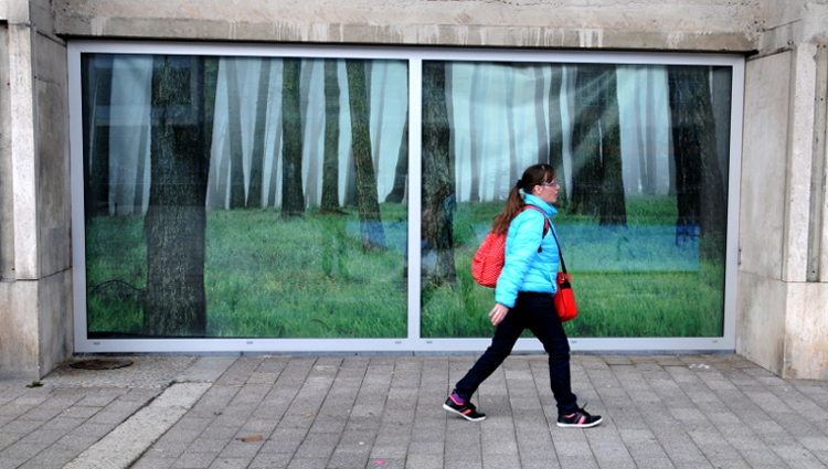 PIC_0021.750 (C) Ronald Puma