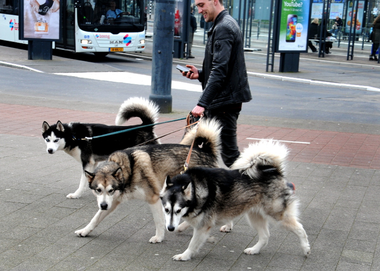 PIC_0047.750 (C) Ronald Puma