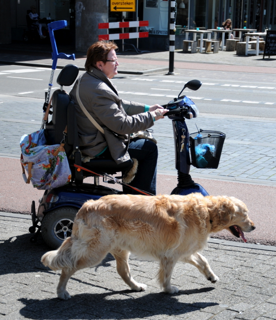 PIC_0093.550  (C) Ronald Puma