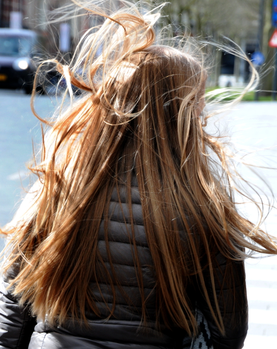 PIC_0134.750  (C) Ronald Puma