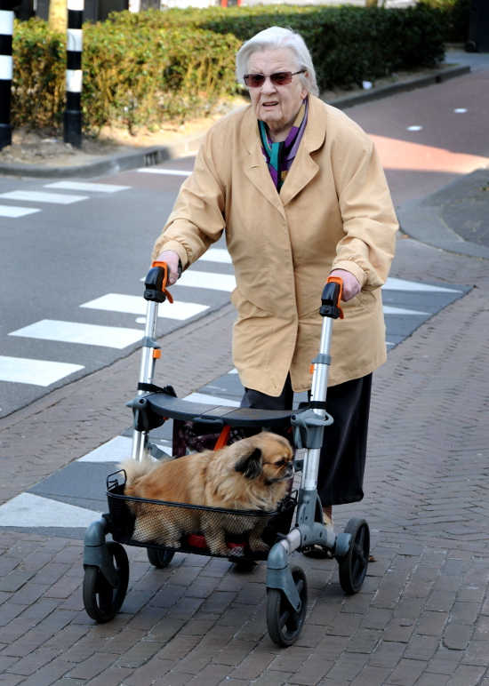 PIC_0226.550 StreetPhoto (C) Ronald Puma