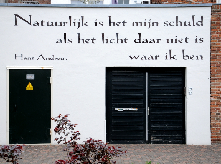 PIC_0082.750 (C) Ronald Puma