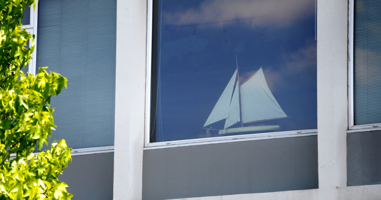 (C) Ronald Puma PIC_0173.750