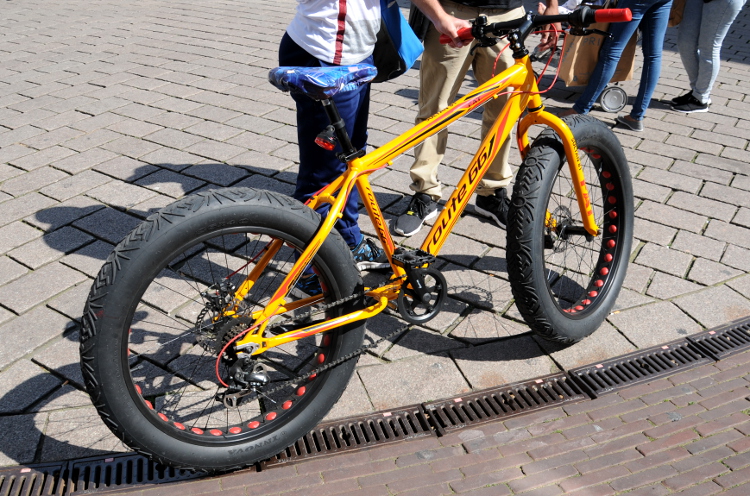 (C) Ronald Puma PIC_0185.750