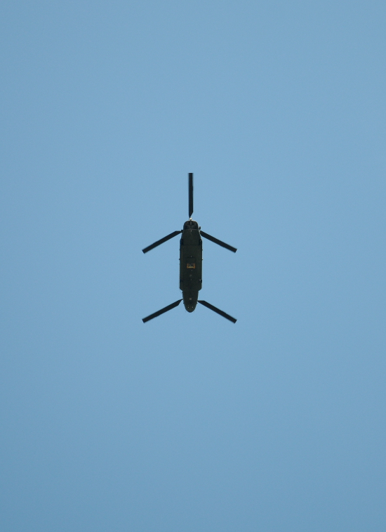 PIC_0022.550 (C) Ronald Puma