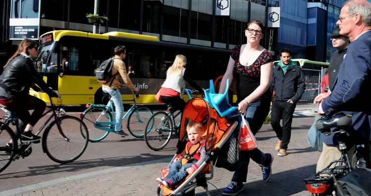 PIC_0179.750  (C) Ronald Puma