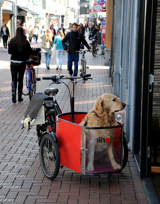 Street Photography (C) Ronald Puma  PIC_0077.550