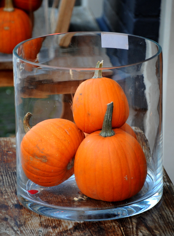 PIC_0116.800 (C) Ronald Puma