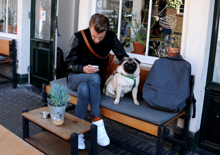 StreetPhoto (C) Ronald Puma PIC_0053.750