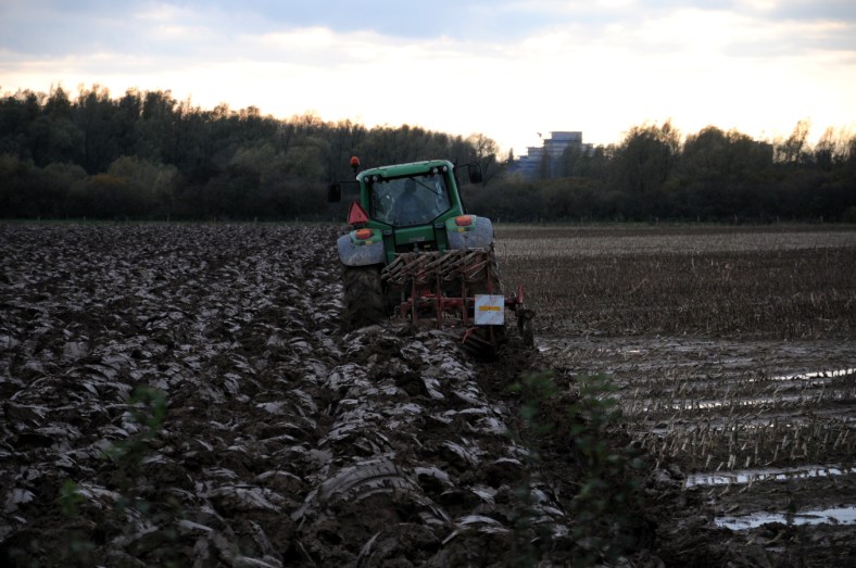 PIC_0112.B.900 (C) Ronald Puma