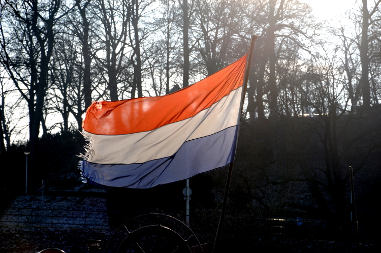 PIC_0014.750 (C) Ronald Puma