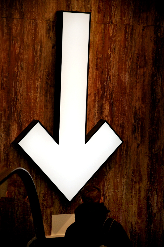 PIC_0029.800 (C) Ronald Puma