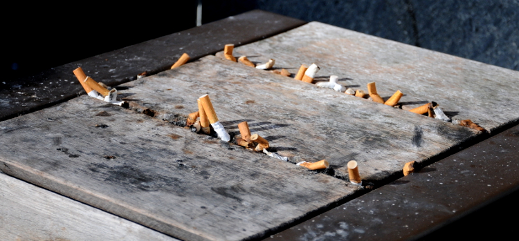 PIC_0070.750 (C) Ronald Puma