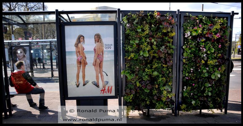 Bushokje met planten Arnhem (C) Ronald Puma Bushokje met planten Arnhem (C) Ronald Puma