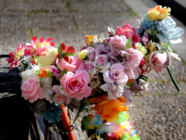 PIC_0101.750 (C) Ronald Puma