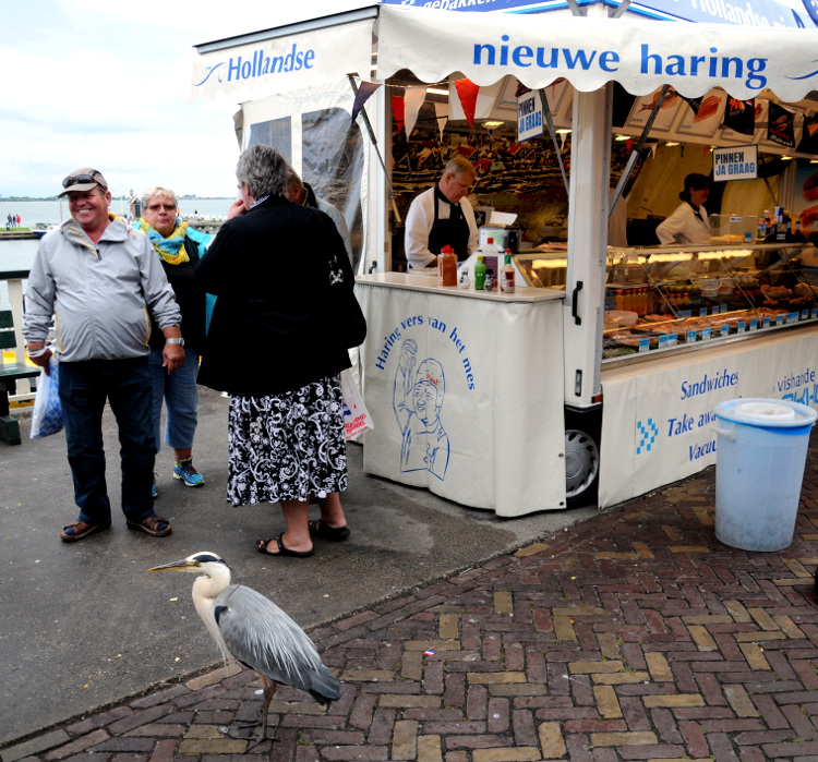 PIC_0004.750 (C) Ronald Puma